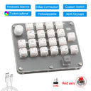  2101 White 2.4G
